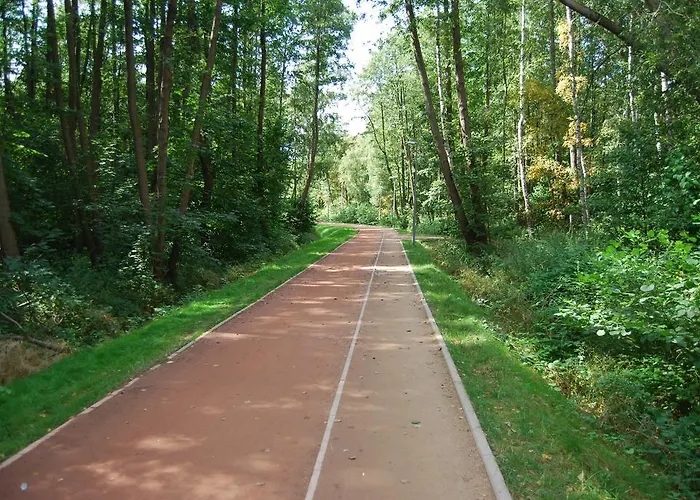 Piaskowy Polanki Park *